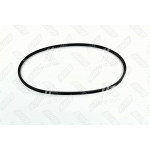 Ремінь 8,5 х8х1018 ГАЗ-24 STANDARD (RIDER) 