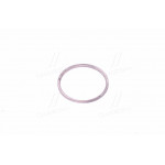 Кільце ущ. газового стику (вир-во Росія) 