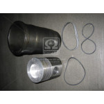 Гільзо-комплект 236 (ДП) (вир-во ЯМЗ) (гр.Б) П/К 