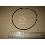 Кільце 120-125-30-2-2 ГОСТ 18829-73 (ГОСТ 9833-73)(вир-во Україна) 