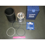 Гільзо-комплект Євро-2 (ДП + Кільця) (общ.гол.) (Гр.Б) (вир-во ЯМЗ) П/К 