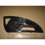 Решiтка в бамп. пер. лiв. GEELY MK 06- (ви-во TEMPEST) 