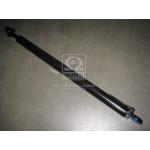 Циліндр підйому кабіни MAN TGA / TGS / TGX (RIDER) 