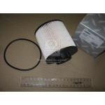 Паливний фільтр (смен.елем.) MB ATEGO, VARIO (TRUCK) (RIDER) 