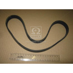 Ремінь 6РК-882 генератора ВАЗ 1118 Каліна (RIDER) 