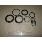 Р/к гідроциліндра  повороту ХТЗ-170 (Руслан-Комплект) 