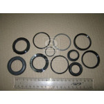 Р/к гідроциліндра  повороту ЦС-50 (нов.зраз.) (Руслан-Комплект) 