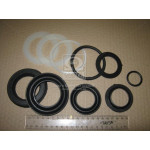 Р/к гідроциліндра підйому рами (80.250.16000) КУН-0,8 (Руслан-Комплект) 