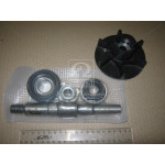 Р/к насоса водяного СМД 14-22  (з валом та крильчаткою) (ст. зр.) (Руслан-Комплект) 