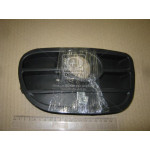 Решiтка в бампер пер. лiв. DW LANOS (ви-во TEMPEST) 