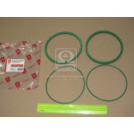 Ремкомплектмасляного фільтра Камаз Євро (2 найм.) зелен.силік. <ДК> 