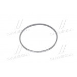 Ремінь Z 710 (Z(О)-710) (вир-во Rubena) 