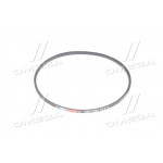 Ремінь A 1050  (вир-во Rubena) 