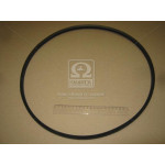 Ремінь A 1250 (вир-во Rubena) 