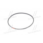 Ремінь B 1450 (ВБ-1450) (вир-во Rubena) 