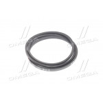 Ремінь B 2550 (ВБ-2550) (вир-во Rubena) 