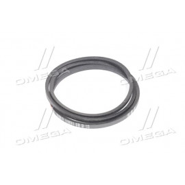 Ремінь B 2550 (ВБ-2550) (вир-во Rubena)