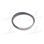 Ремінь B 3350 (ВБ-3350) (вир-во Rubena) 