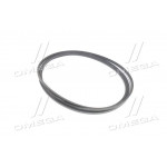 Ремінь B 5000 (ВБ-5000) (вир-во Rubena) 