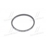 Ремінь B 710 (ВБ-710) (вир-во Rubena) 