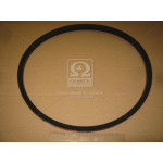 Ремінь C 1220 (СВ-1220) (вир-во Rubena) 