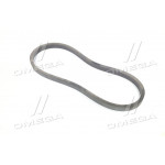 Ремінь HM 2310 (45-22-2310) (вир-во Rubena) 