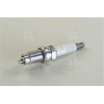 Свічка запалювання NISSAN TERRANO (вир-во NGK) 