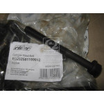 Болт ГБЦ Еталон (RIDER) 