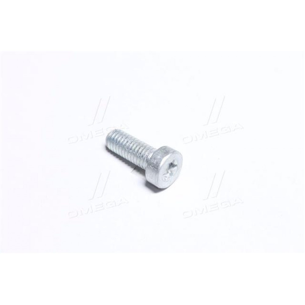 ГВИНТ SH cap screw (пр-во BOSCH)