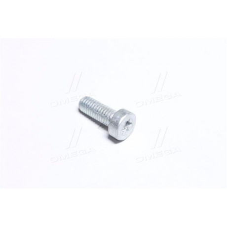 ГВИНТ SH cap screw (пр-во BOSCH)