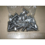 Болт М12х30х1,75 шестигранний (1кг = 1 компл) ГОСТ 7805-70 (в-во Україна) 