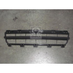 Решiтка в бамп. пер. REN SYMBOL 06-08 (ви-во TEMPEST) 