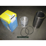 Гільзо-комплект Д-65, Д-50 (ДП + УПЛ. Кільця) (гр.С) п / к  ( МД Конотоп) 