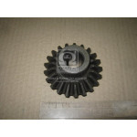 Шестерня велика (z = 21) Z-169 (в-во Польща) 