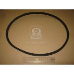 Ремінь 11х10х1090 МАЗ-6422, Ікарус <ДК> 