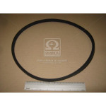 Ремінь 11х10х950 ЯМЗ-236, -238, Д-65 <ДК> 