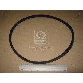 Ремінь 11х10х950 ЯМЗ-236, -238, Д-65 <ДК>