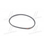 Ремінь 14х10х1037 ЯМЗ-236, -238, Т-142 <ДК> 