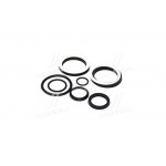 Р/к гідроциліндра подйому рами КУН-10 (нов. зразк.) (Руслан-Комплект) 