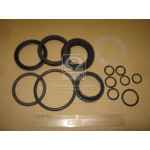 Р/к гидроцилиндра отвалу ЕО-2621-В3 (Руслан-Комплект) 