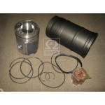 Гільзо-комплект Д-442, Д-461  (ГП + Кільця +пал.+ст/кільця+ущiл.) АГРО П/К (МОТОРДЕТАЛЬ) 