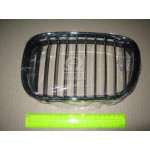 Решiтка в капотi лiв. BMW 5 E39 (вир-во TEMPEST) 