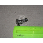 Болт М8х20х1,25 шестигранний (1кг = 1 компл) ГОСТ 7805-70 (в-во Україна) 