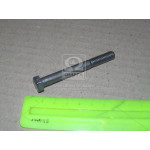 Болт М8х70х1,25 шестигранний (1кг = 1 компл) ГОСТ 7805-70 (в-во Україна) 