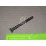 Болт М8х80х1,25 шестигранний (1кг = 1 компл) ГОСТ 7805-70 (в-во Україна) 