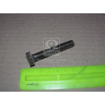 Болт М10х60х1,5 шестигранний (1кг = 1 компл) ГОСТ 7805-08 (в-во Україна) 