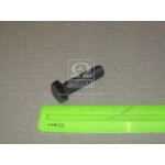 Болт М12х45х1,75 шестигранний (1кг = 1 компл) ГОСТ 7805-70 (в-во Україна) 