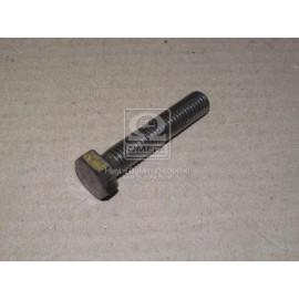 Болт М12х60х1,75 шестигранный (1кг = 1 компл) ГОСТ 7805-70 (пр-во Украина)