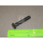 Болт М12х65х1,75 шестигранний (1кг = 1 компл) ГОСТ 7805-70 (в-во Україна) 