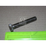 Болт М12х70х1,75 шестигранний (1кг = 1 компл) ГОСТ 7805-70 (в-во Україна) 